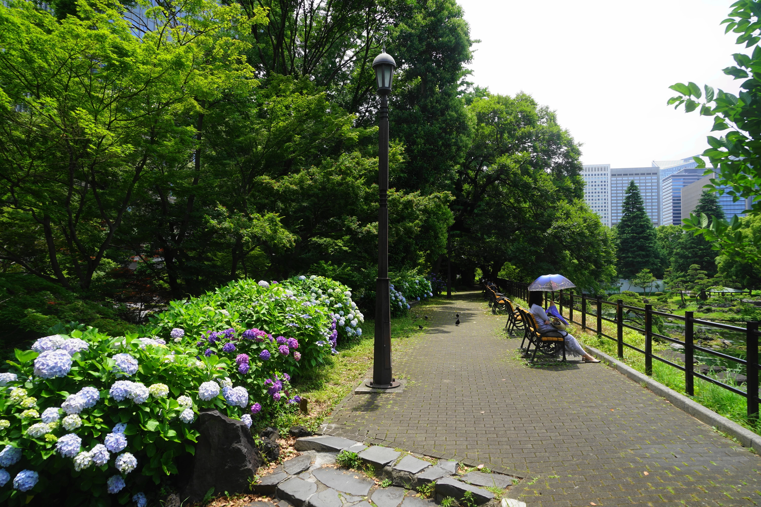 東京・日帰り】最寄り駅から徒歩15分以内で行ける公園17選